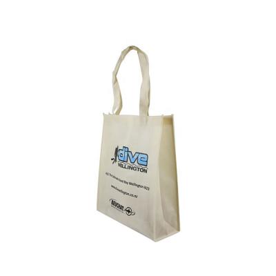 China Eco Friendly Eco Friendly Non Woven Non Woven Shopping Bags Large Handle Non Woven Bag For Supermarket for sale