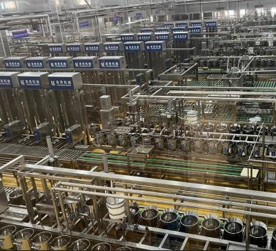 China Máquina de procesamiento de productos de frijoles totalmente automática para la línea de producción comercial de tofu en venta