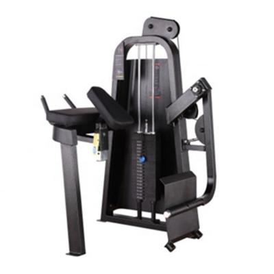 China Hot Sale Universal Pin Loaded Gym Strength Equipment Exercise Trainer Glute Machine for sale