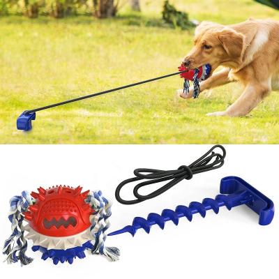 China Viable Unbreakable Dog Chew Toys Aggressive Chewers Outdoor Dog Chewing Ball Tug Toy Squeaky Jolly And Floating On Water for sale