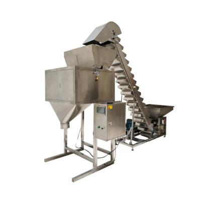 China Food PLC Control Pouch Bag Beans Rice Grain Nuts Seeds Sugar Granule Weigh Filling Packing Machine for sale