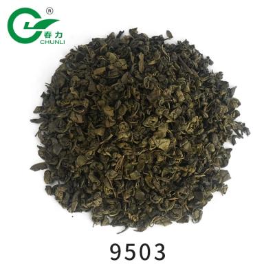 China Loose Tea Chunli Brands PEARL GREEN TEA 9503 Tea Powder African And Middle Eastern Tea for sale