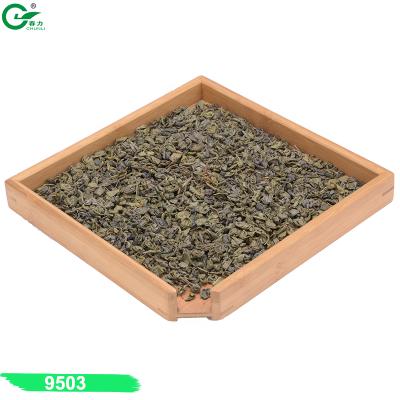 China Loose Tea Wholesale Price Gun Powder Green Tea 9503 TEA BULK Premium Tea for sale