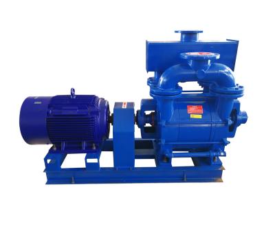 China 2BE1 Series Water Motor Suction Pump High Pumping Speed Compact Structure for sale