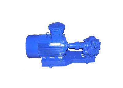 China Hydraulic Fluid Electric Oil Pump Single Stage Transporting Liquid Compact Structure for sale