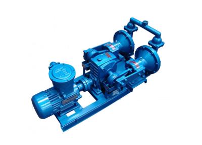 China Cast Iron Membrane Pumps Electric Motor Driven Water Pump Compact Structure for sale