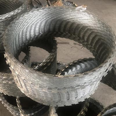 China Protective razor barbed wire on hot sale with high quality from China for sale