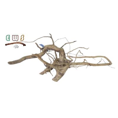 China Small Size Azalea Roots Driftwood Spider Wood Aquarium Decor Fish Tank Decor For Aquarium Aquascape for sale