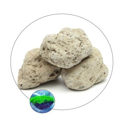 China Viable Pumice Rock Aquascaping Style Water Avatar Floating Stone For Aquarium Decor for sale