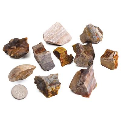 China Viable Decor Accessories Aquarium Fossilizad Magic Wood Petrified Wooden Stone for sale