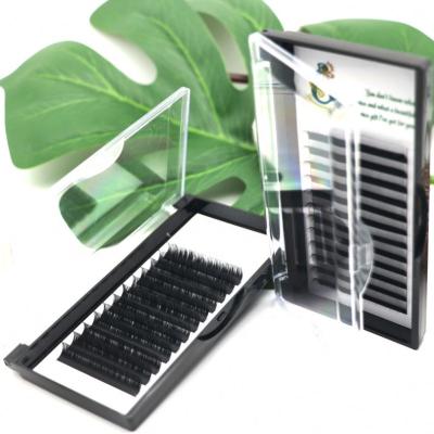 China Long Natural Private Label Lashes Extension Mink Eyelash Extension OEM Silk Lashes For Extension for sale