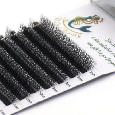 China 2020 New Product New Style Y/W/V Natural Shape Eyelash Extension for sale