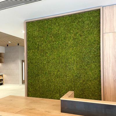 China High Quality 50cm*50cm Square Eco-friendly Moss Carpet Artificial Moss Grass Wall For Decoration for sale