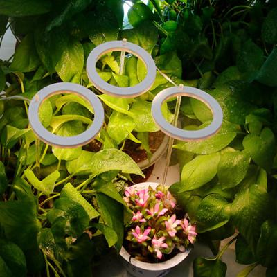 China Green House Planting Grow Light for Indoor Plants, LED Plant Growing Lamp Lights for Micro Seedling Greens Succulents Vegetables for sale