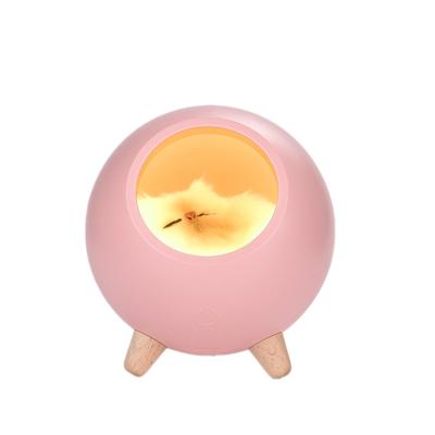 China Hotel Small Cat House Night Light Cute Cute Creative Kitten Bedside With Sleep USB Touch Atmosphere Light Fill Light for sale