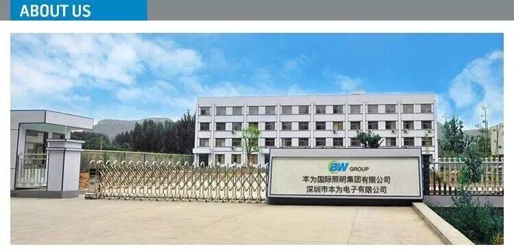 Verified China supplier - Shenzhen Benwei Electronic Co., Ltd.