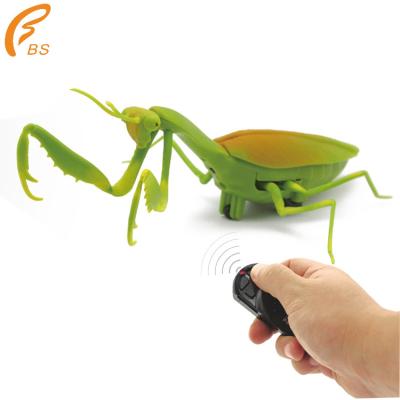 China 2021 Remote Infrared Electronic Prank Insect Rc Simulation Mantis Toy 16.6*10*23.5cm for sale