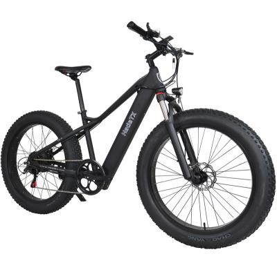 China Hot sale fatbike mountain bike fatbike 750w 1000w motor aluminum alloy e-bike fat tire electric bicycle for sale