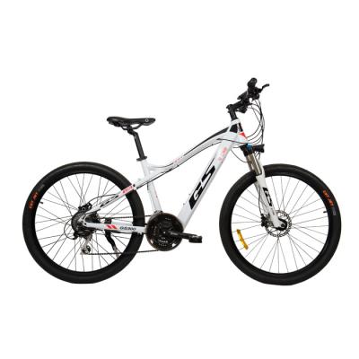 China Aluminum Alloy 26 Inch Battery Hydraulic Disc Brake Hub Motor Mountain Lightweight Hidden Electric Bicycle for sale