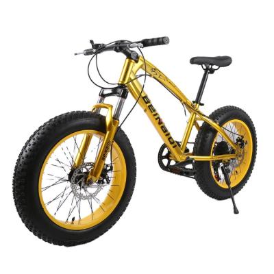 China Popular Fashionable 20 Inch 7 Speed ​​Steel Mtb Mountain Bike Bicycle Cycle Mountainbike Cycling From Factory Direct for sale