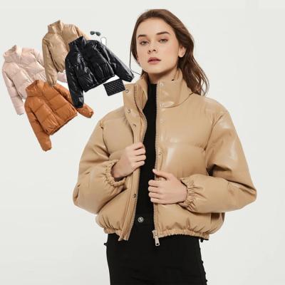 China Anti-wrinkle Quality Long Sleeve Coat Jackets Thick Padded Polyester Down Jacket Winter Clothes For Women for sale