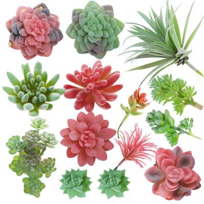 China Decorative Succulent Plants Assorted Artificial Succulent Plants Bundles, Faux Unpotted Mini Succulent Plants Indoor Outdoor Decor for sale