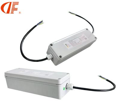 China IP65 10W-60w 180min Waterproof Emergency Lighting System DF LED Emergency Power Supply for sale