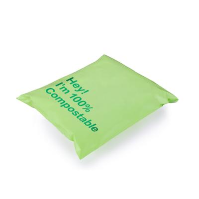 China Matte Pastel Green Teal Custom Strong Adhesive Eco Friendly Luxury Poly Apparel Packaging Ads for sale