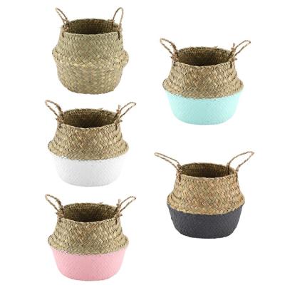 China Modern Vegetable Plankton Woven Plant Basket Storage Basket Contrast Color Natural Woven Horticultural Flower Pots for sale