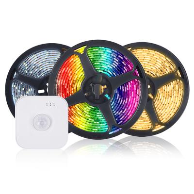 China Warehouse High Quality Cheap Price 5V Smart RGB Led Strip Light / Led Strip Smart Light Strip for sale