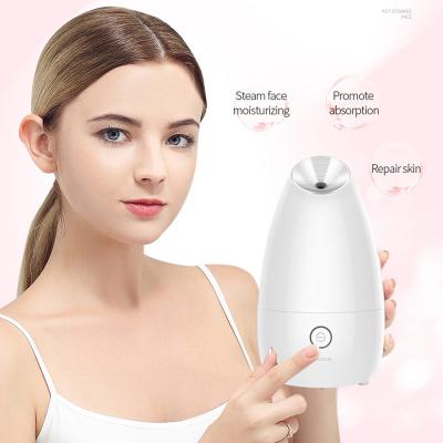 China Hotel Acceptable Nano Ionic Facial Steamer Warm Mist Humidifier Moisturizing Face Spa Beauty Facial Steamer for sale