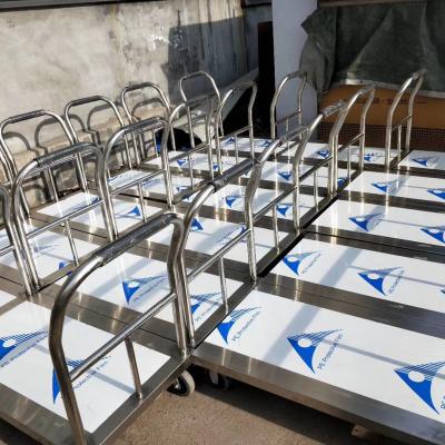 China Vegetable Processing Plant Factory Direct Hospital With 2 Drawers 3 Rows Serving Trolley Cart for sale