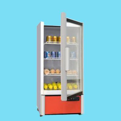 China Single-temperature Refrigerator Bottle Beverage Display Freezer Supermarket Wholesale High Quality Cheap Display Cabinet for sale