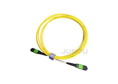 China FC LC SC G652D G657A Single Mode Fiber Patch Cord OM3 MM 12 24 Core for sale