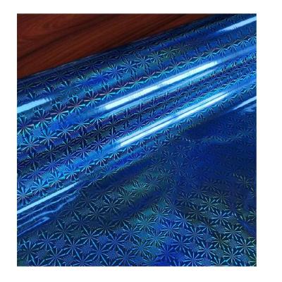 China Manufacturer Supply Washable Seamless Transparent Holographic Projection Film Moisture Proof for sale