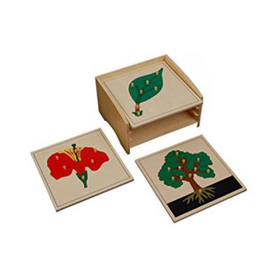 China Montessori wood high quality material toys first play item botany puzzle study cabinet for sale