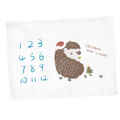 China Baby Milestone Anti-pilling Milestone Monthly Blanket for sale