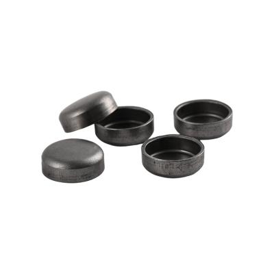 China Security Seal OEM Fasteners Sealing Flattening Caps for sale