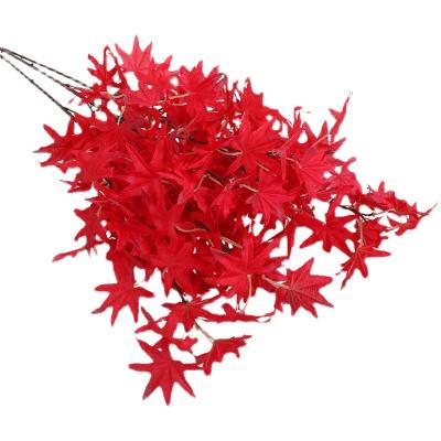 China Beautiful Colorful Artificial Flower Factory Price PVC Lower Realistic Red Maple Leaf Artificial Fake Plant Decoration for sale