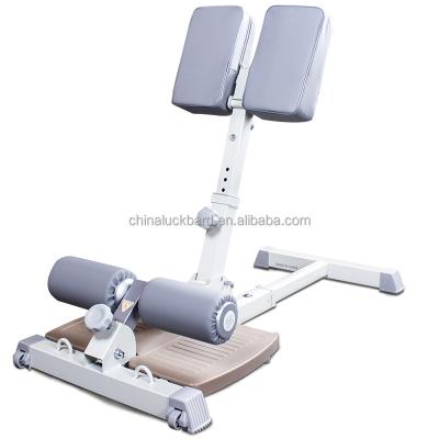 China 2021 Modern New Arrival Commercial Gym Use Exercise Sissy Squat Machine For Muscle Exercising for sale