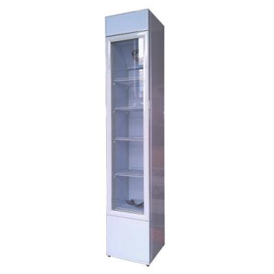 China 105L Upright Type Commercial Beverage Showcase Display Single-Temperature Cooler for sale