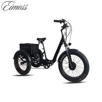 China Aluminum Alloy 250w 500w 750w Fat Tire Front Drive Motor 10Ah 20Ah Lithium Battery Electric Cargo Tricycle for sale