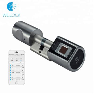 China Fingerprint Lock Cylinder Fingerprint Scanner Door Lock Biometric Smart Home Door Lock Fingerprint For Outdoor for sale