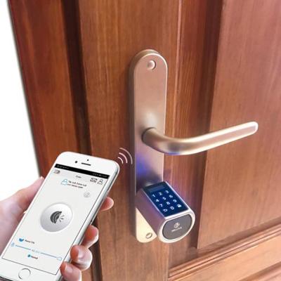 China New Smart Card Cylinder WE.LOCK Design ttlock Password Opening Door Lock Guangdong hyh hardware for sale