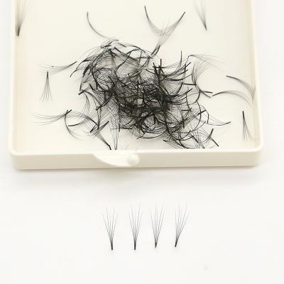 China Professional High Quality Sensitive Curl Various Volume Fans Loose Eyelash Extension and Length Bulk Extension Premade for sale