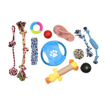 China Sustainable Pet Chew Deluxe Training Cleaning Toy For Dog for sale