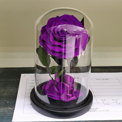 China Fashional Flowers Preserved Eternal Long Lasting Preserved Flowers Valentine's Day Creative Gift Wholesale for sale