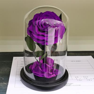 China Fashional Flowers Preserved Eternal Long Lasting Preserved Flowers Valentine's Day Creative Gift Wholesale for sale