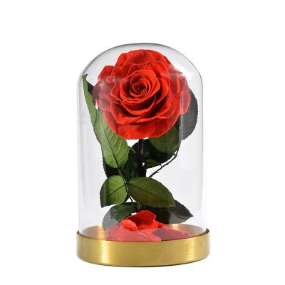 China Real Rose Wholesale Preserved Romantic Preserved Large Rose Flower Head Long Stem in Glass Dome with Gift Box Roses for Decoration for sale