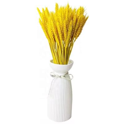 China Wholesale Natural Touch Plant Dried Flowers Dry Natural Wheatgrass Wheat For Decoration for sale